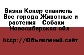 Вязка Кокер спаниель - Все города Животные и растения » Собаки   . Новосибирская обл.